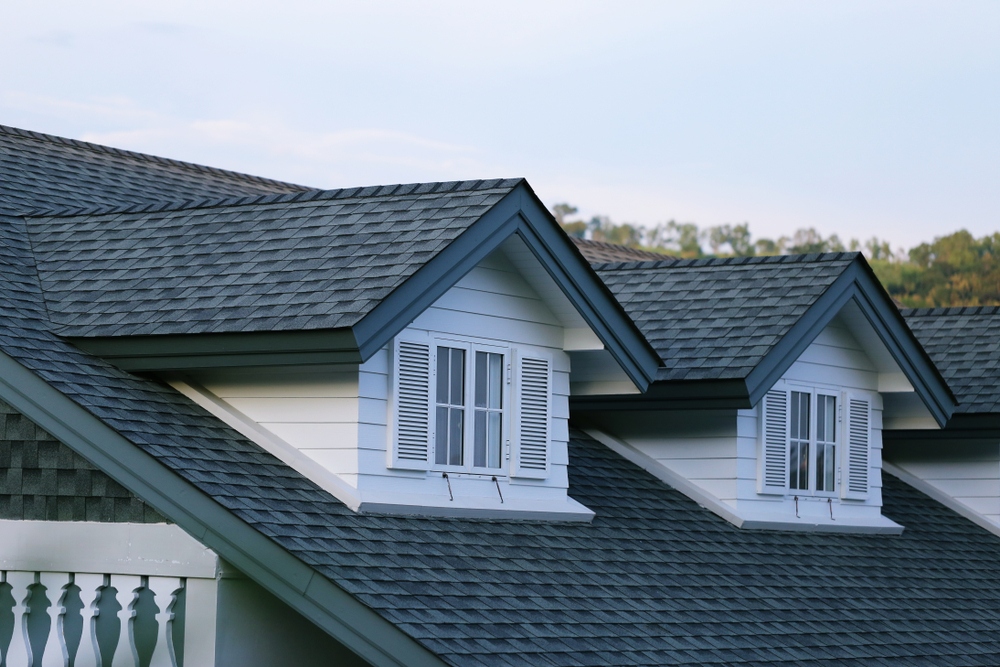 Detail image of new Chester County, PA Roof shingle