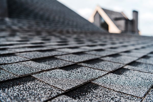 Detail image of new Sussex County, DE Roof shingle